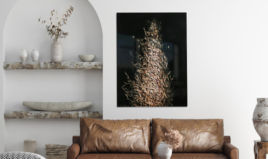 Curatorial Assistance